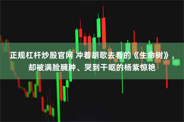 正规杠杆炒股官网 冲着胡歌去看的《生命树》,却被满脸臃肿、哭到干呕的杨紫惊艳