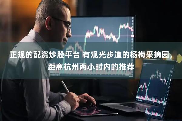 正规的配资炒股平台 有观光步道的杨梅采摘园，距离杭州两小时内的推荐
