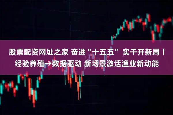 股票配资网址之家 奋进“十五五” 实干开新局丨经验养殖→数据驱动 新场景激活渔业新动能